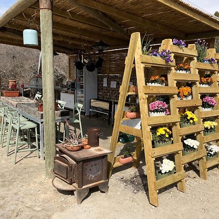 Carmey Avdat Farm Midreshet Ben Gurion Exterior photo