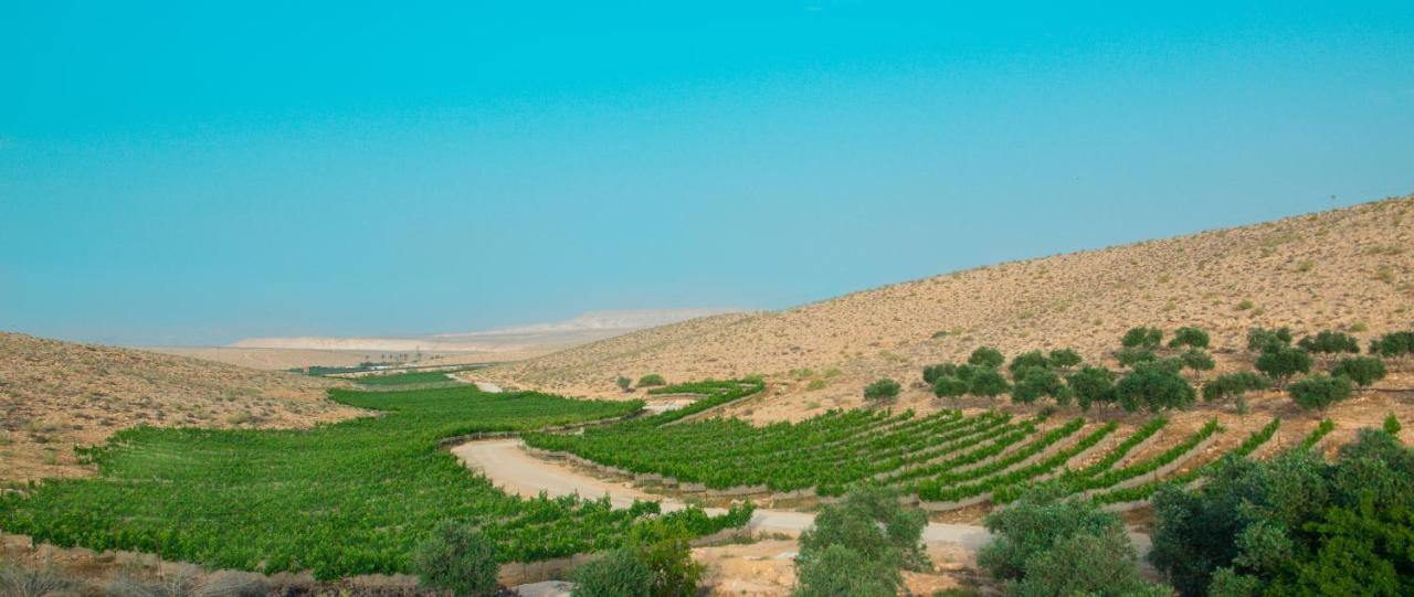 Carmey Avdat Farm Midreshet Ben Gurion Exterior photo