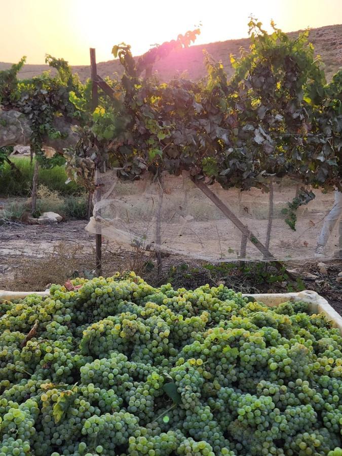 Carmey Avdat Farm Midreshet Ben Gurion Exterior photo
