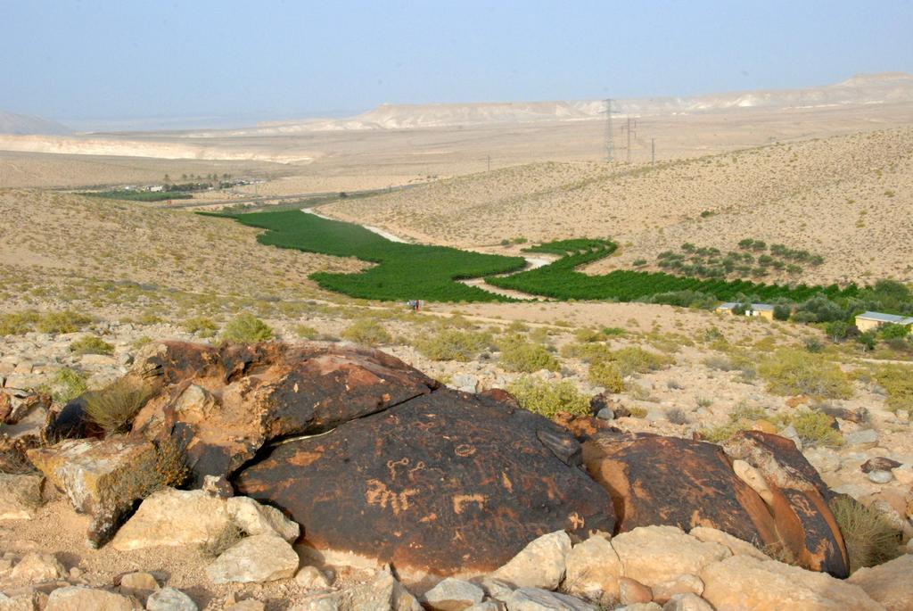 Carmey Avdat Farm Midreshet Ben Gurion Exterior photo